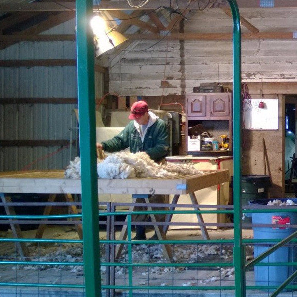 WeatherWool Advisor Bob Padula is a lifelong sheep man.  He knows wool, he knows WeatherWool and he can answer your questions.