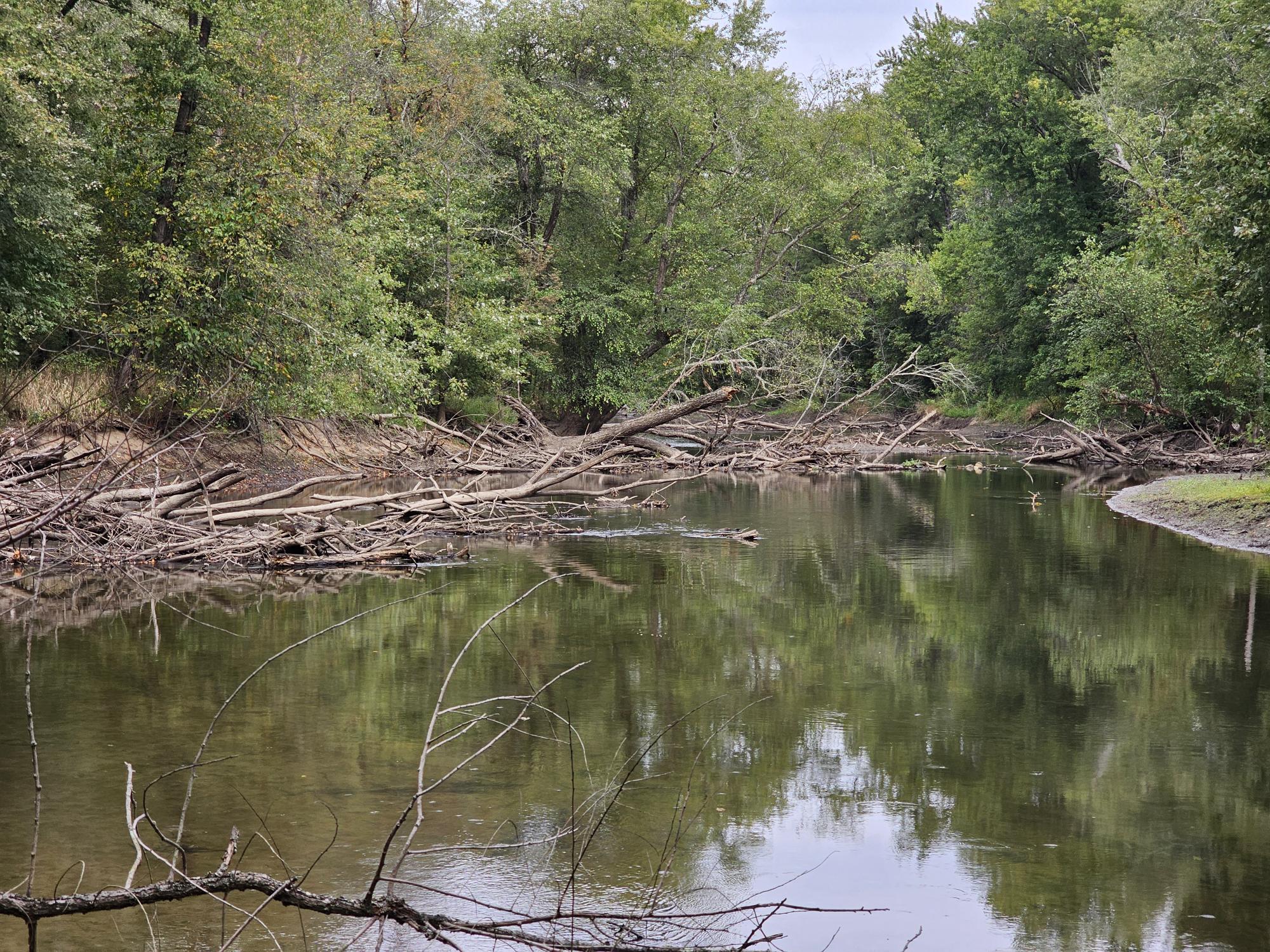 Our place in the New Jersey Swamps, just outside New York City, is a great place to test WeatherWool,  to film and photograph, forage, fish, hunt and just to appreciate Nature.