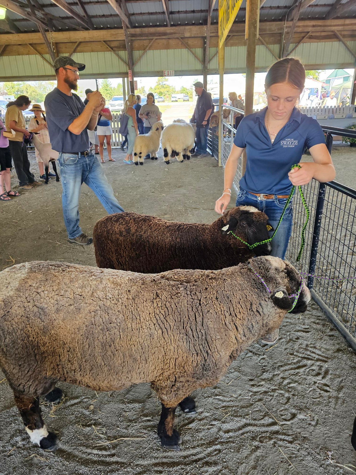 WeatherWool met a couple of people from Swayze Inn Farm at the 2025 Garden State Sheep Breeders Show.   Swayze raises Romeldale and Jacob breeds